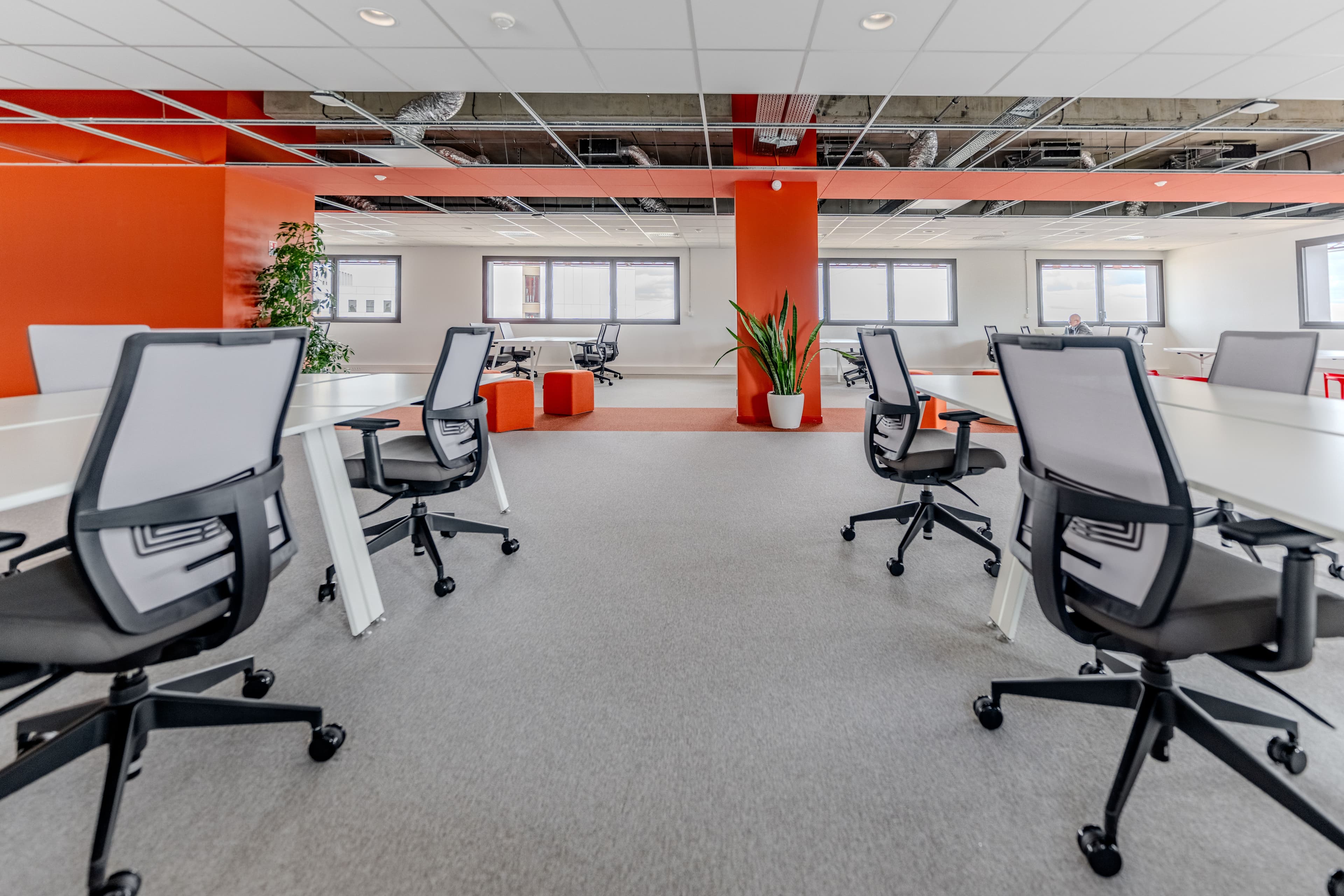 location de local professionnel